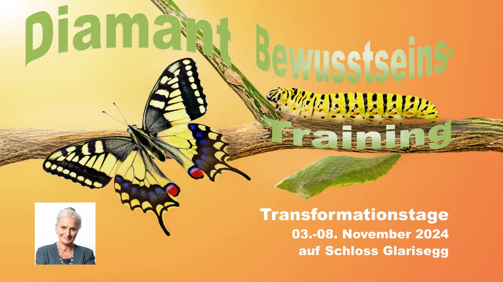 Schmetterling und Raupe symbolisieren Transformation, Banner für Diamant-Bewusstseins-Training Transformationstage 03.-08. No