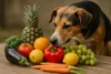 Was dürfen Hunde essen: Obst und Gemüse
