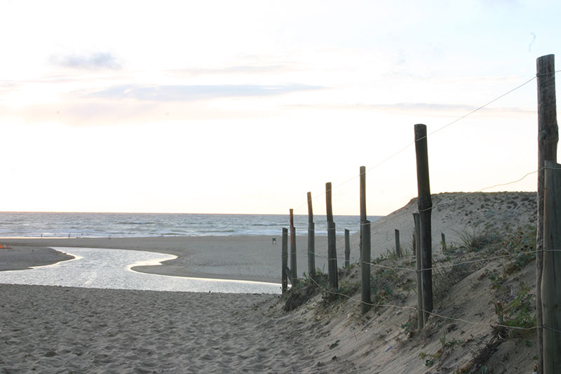 Strandlandschaft mit Pfahlbefestigung und Dünen bei Sonnenuntergang