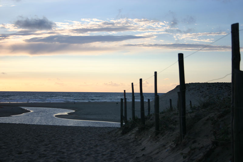 Strandlandschaft mit Wellenbrecher-Pfosten bei dramatischem Himmel
