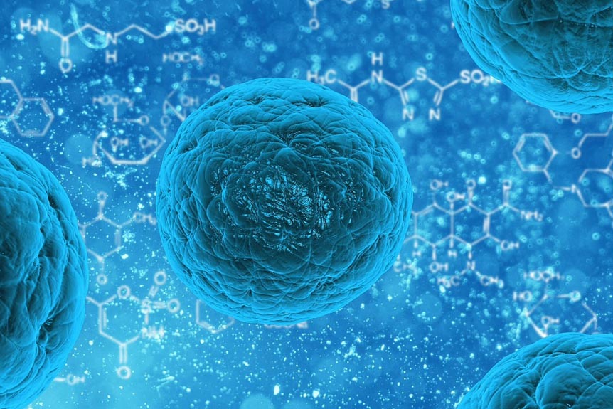 Mikroorganismen unter dem Mikroskop mit chemischen Molekülstrukturen im blauen Hintergrund