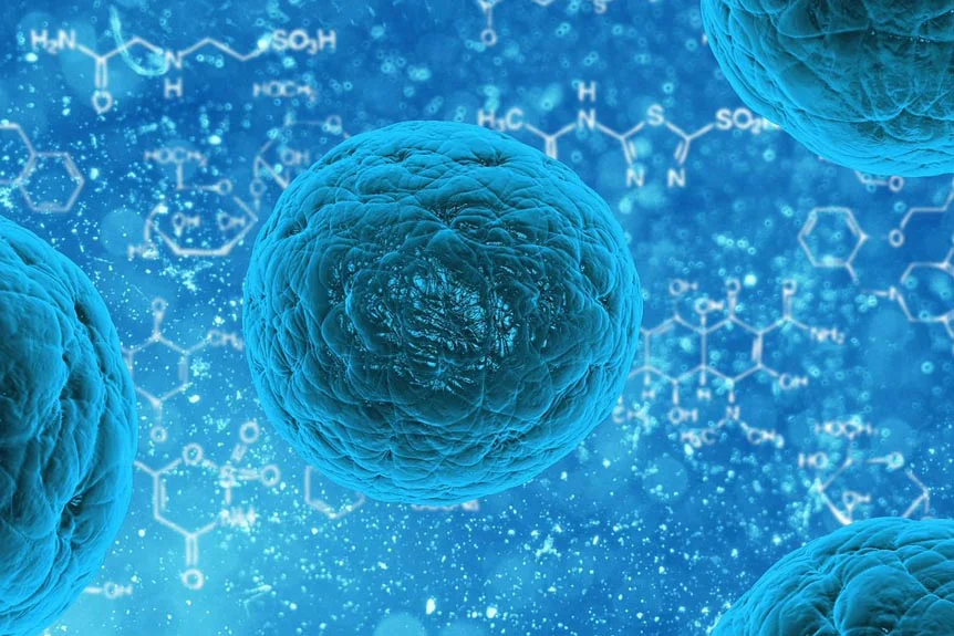 Mikroorganismen unter dem Mikroskop mit chemischen Molekülstrukturen im blauen Hintergrund