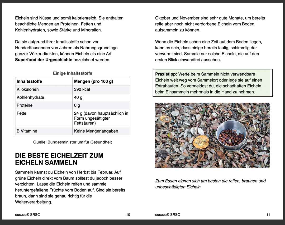 Eicheln essen – Traditionelle Verarbeitung und Rezepte 4 Buchseite mit Informationen zu Eicheln, Nährwerttabelle und Sammelzeit