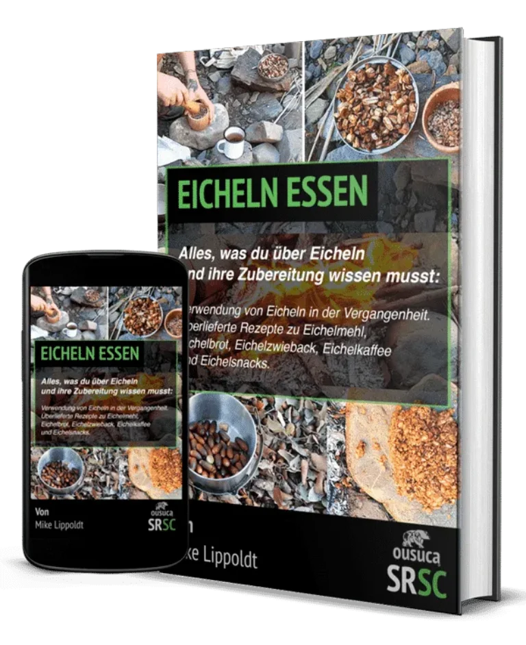 Eicheln essen – Traditionelle Verarbeitung und Rezepte
