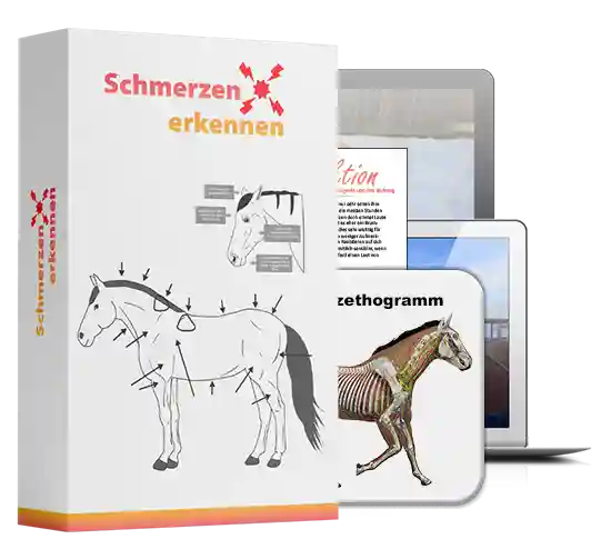 Ein gesundes Verlasspferd ist KEIN Zufall – Videokurse für Reiter 8 Schmerzen erkennen Kurs Box mit Schulungsmaterialien und Thermogramm