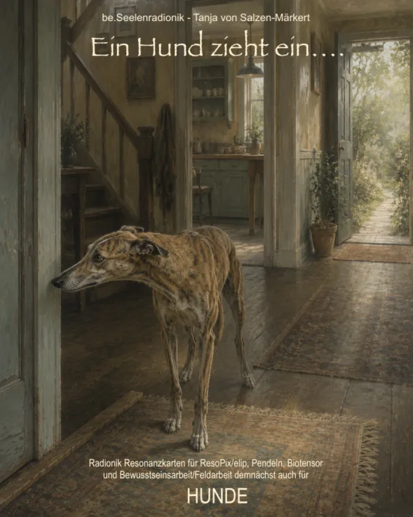 Produktabbildung Ein Hund zieht ein von Tanja von Salzen-Märkert mit magerer Hundefigur in historischem Hausflur