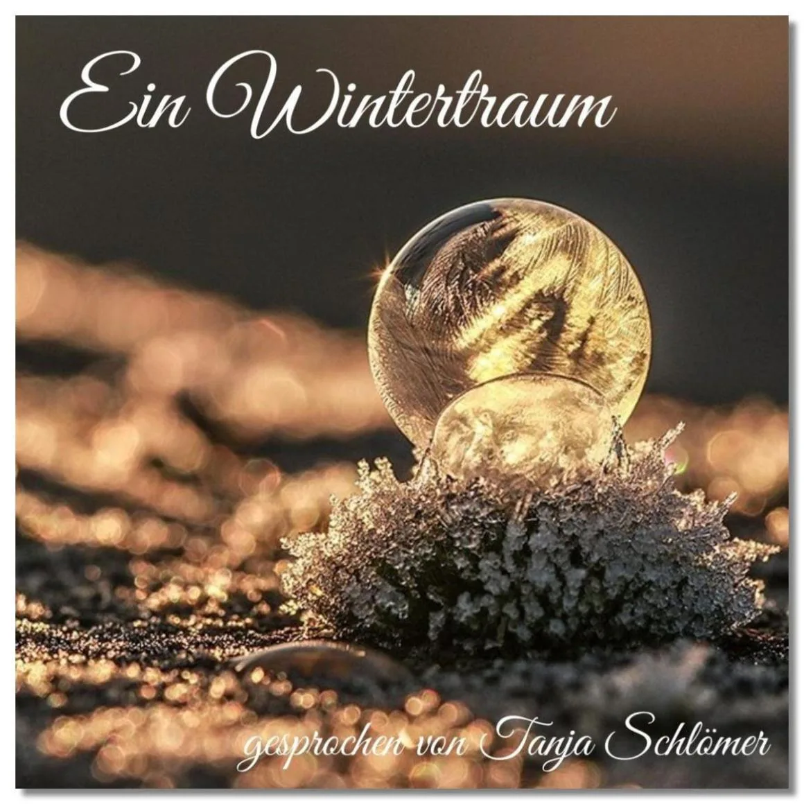 Wintertraum Cover mit gefrorener Seifenblase und Eiskristallen auf dunklem Hintergrund