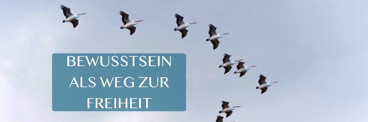 Einfach Gelegt! Mit dem Tarot von Crowley und Harris von Armin Denner 3 Tarot von Crowley und Harris Kartenlegesystem Anleitung