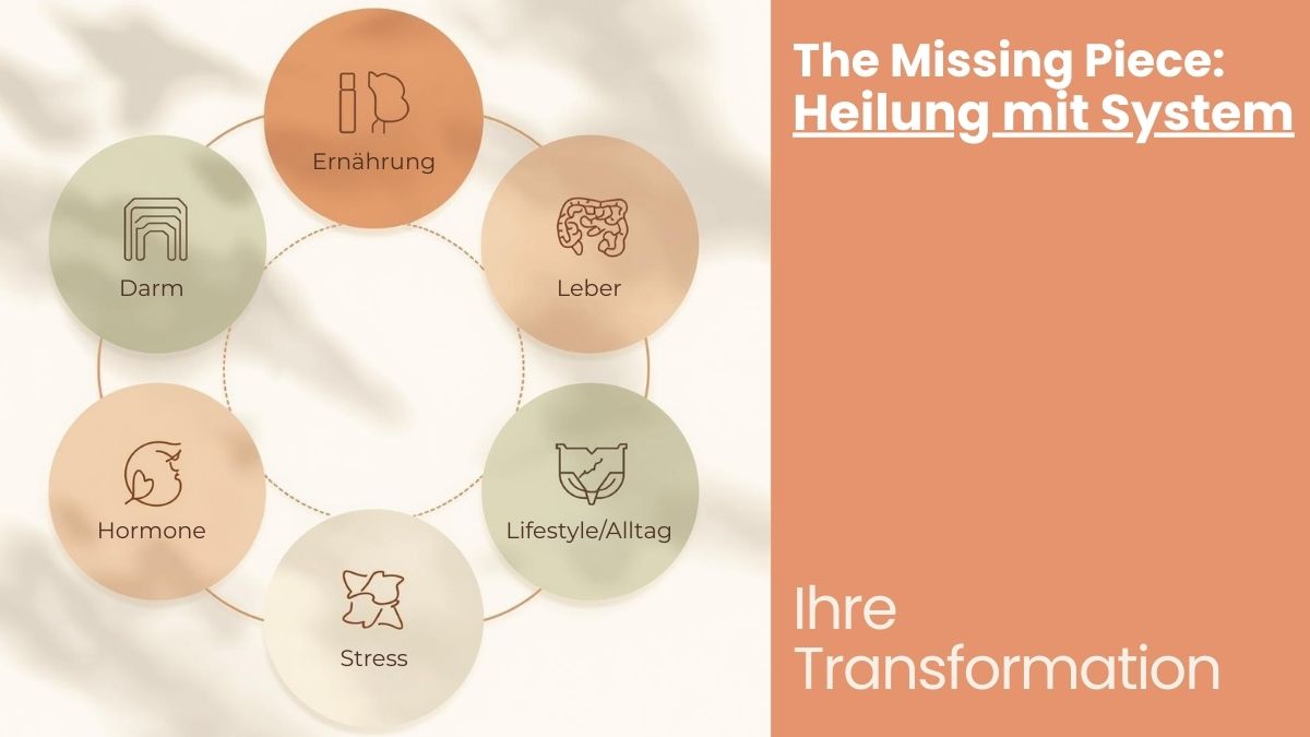 Diagram mit sechs Bereichen: Ernährung, Darm, Leber, Hormone, Stress, Lifestyle/Alltag – Heilung mit System