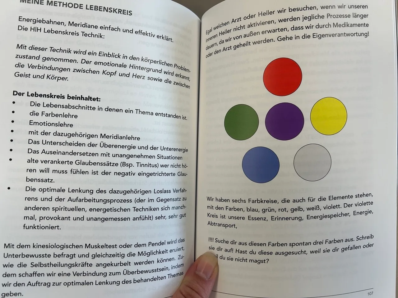 Buch-Innenseite Kapitel 6 mit HIH Lebenskreis Technik und Farbkreis-Illustration für Elemente