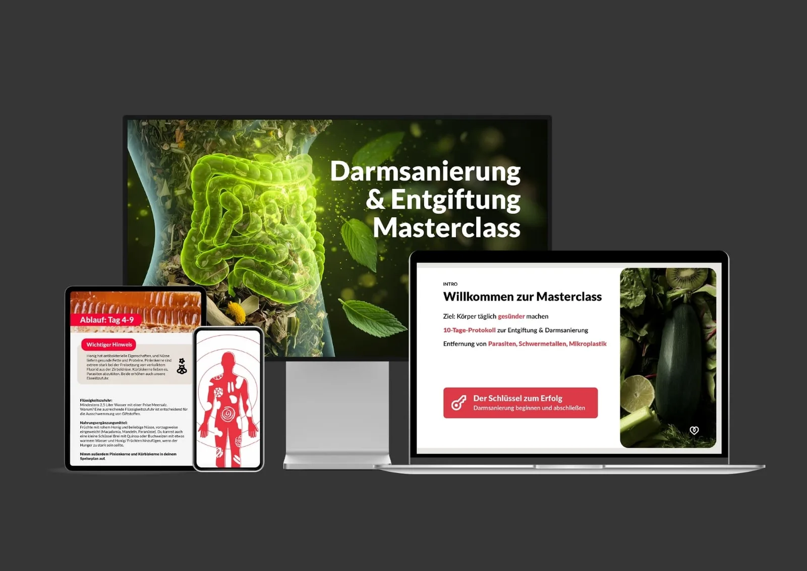 Digitales Mockup mit verschiedenen Ansichten der Entgiftung & Darmsanierung Masterclass von Fabian Kowallik, inklusive Kursmaterialien, Tablet- und Laptopdarstellung mit Inhalten zur Entgiftung, Darmreinigung und gesunder Ernährung.