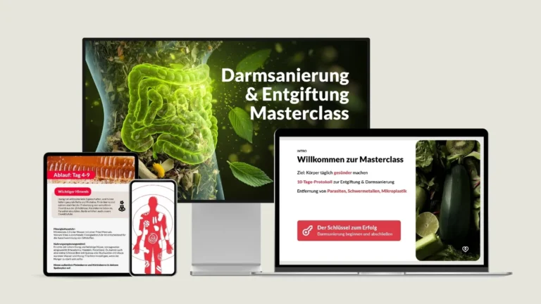Entgiftung und Darmsanierung Masterclass von Fabian Kowallik