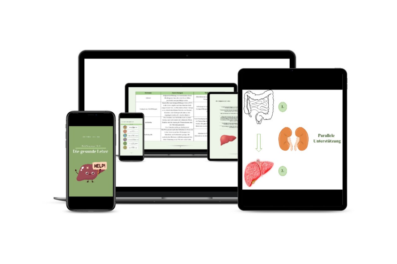 Multi-Device Mockup zeigt E-Book-Inhalte auf Smartphone, Tablet und Desktop-Bildschirmen