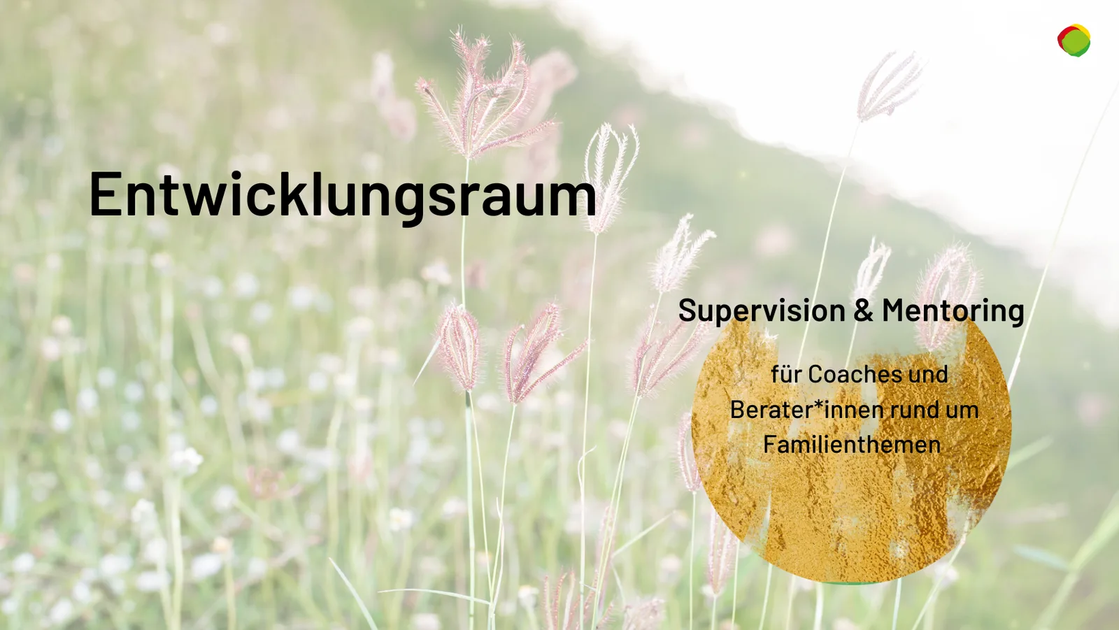Entwicklungsraum - Supervision und mehr für Coaches und Berater*innen rund um Familienthemen