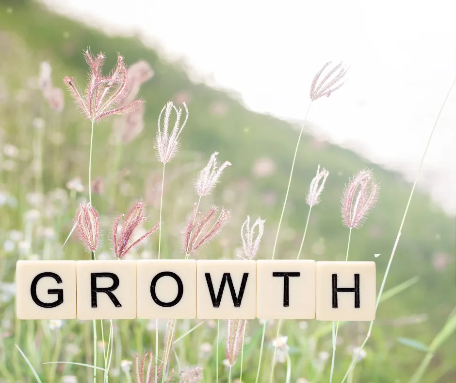 Growth Wort auf Holzblöcken mit Wiesenblüten und Bokeh-Hintergrund