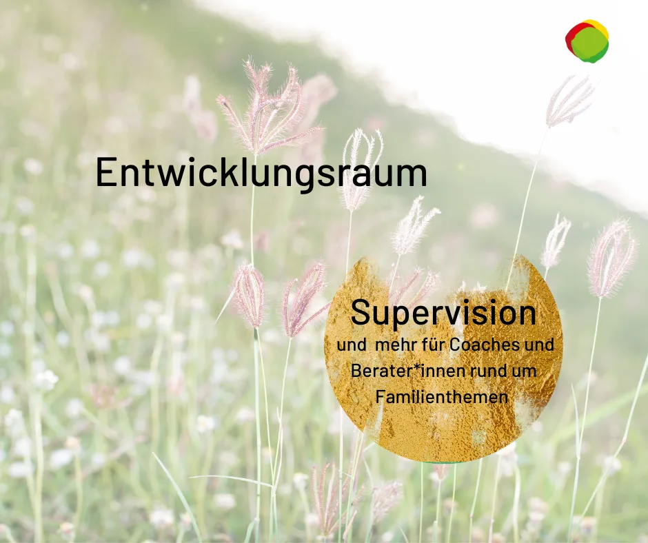 Entwicklungsraum Hero-Image mit Wiesenblüten und goldenem Kreis, Supervision und Coaching für Familien