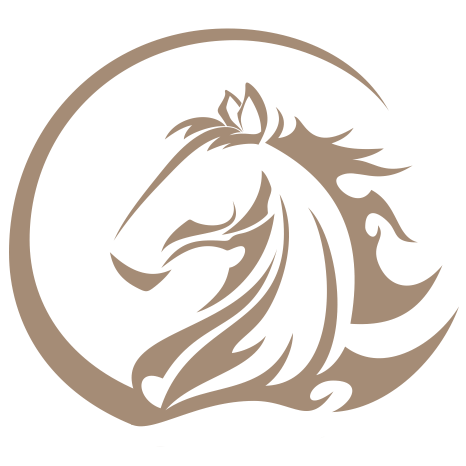 Equitao