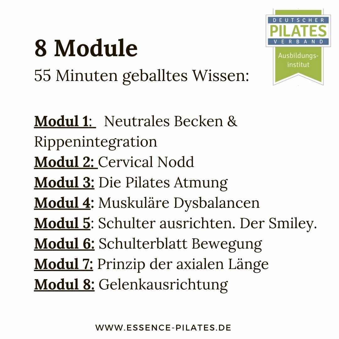 Grafik mit 8 Modulen des Pilates Basics Videoseminars à 55 Minuten Wissen