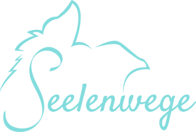 Euer Seelenweg – 11 Audio-Meditationen zur Tierkommunikation