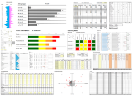 Collage von Excel-Dashboards mit farbigen Balkendiagrammen und Analysen