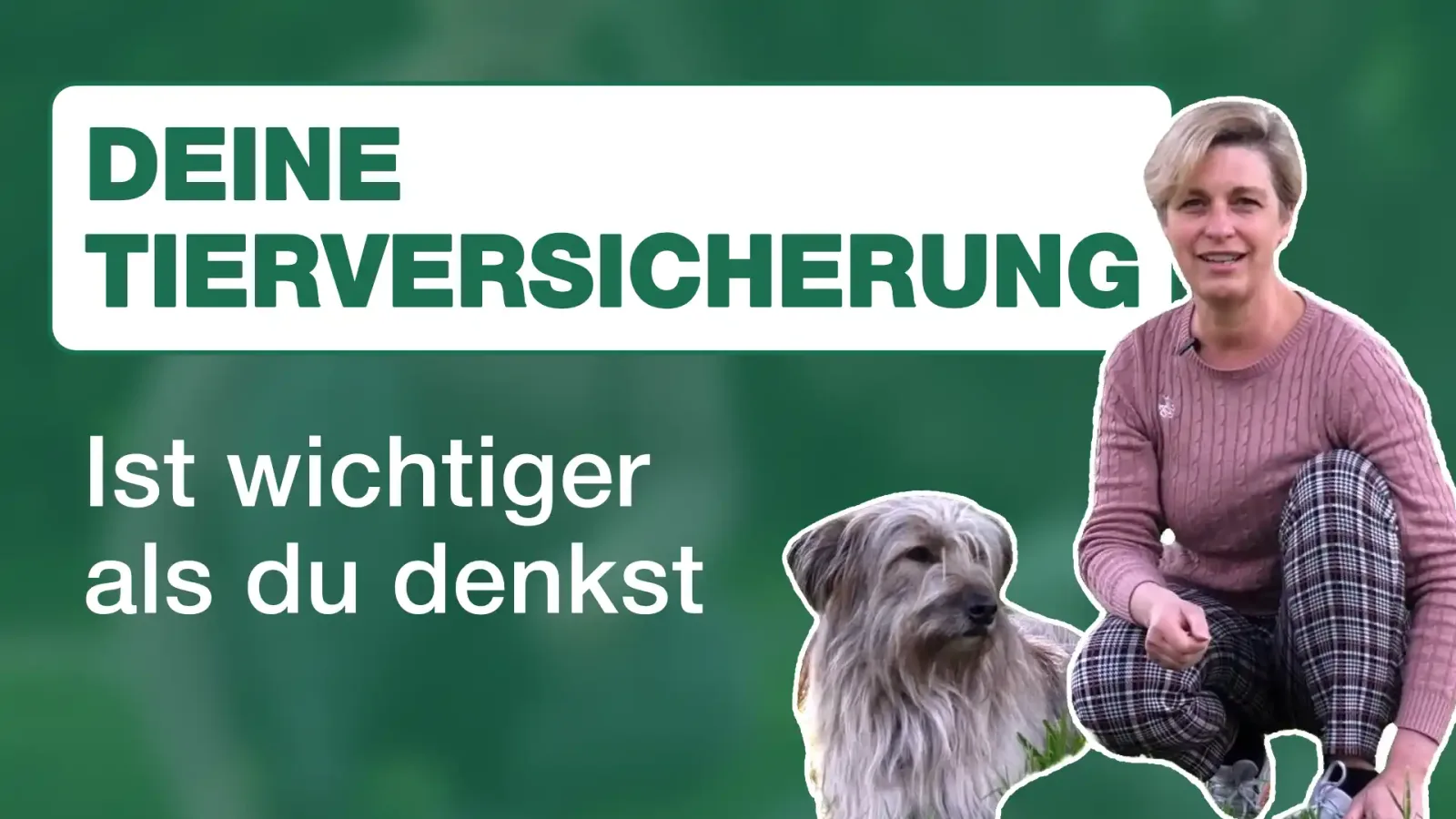 Deine Tierversicherung - Ist wichtiger als du denkst