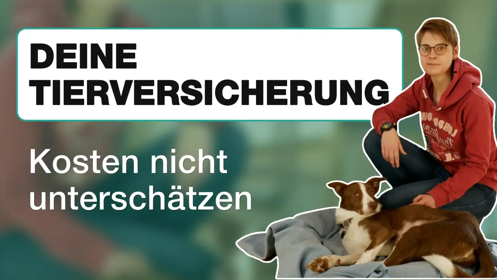 Deine Tierversicherung - Kosten nicht unterschätzen