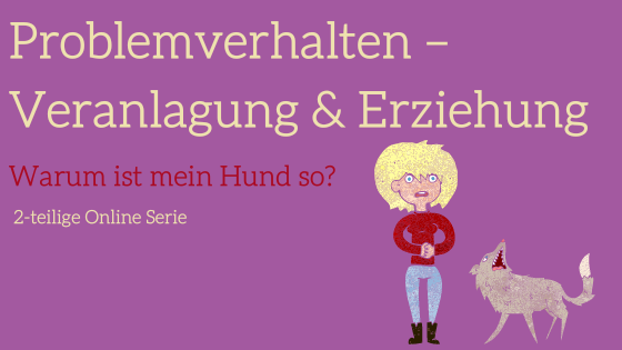 Fallbesprechung: Der unruhige Hund – Webinar zu unruhigen Hunden 4 Kursmodul Banner Problemverhalten Veranlagung und Erziehung auf violettem Grund