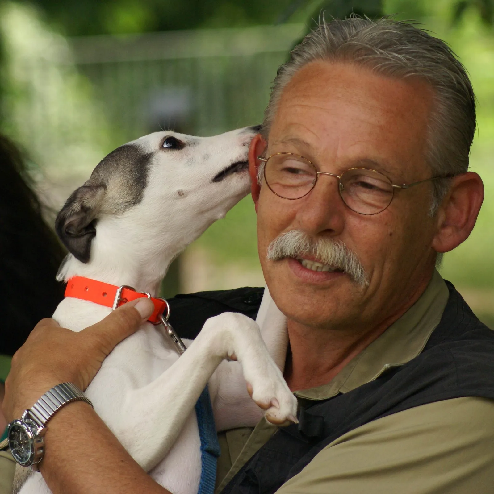Fallbesprechung: Der unruhige Hund – Webinar zu unruhigen Hunden 6 Jan Nijboer mit Whippet Kato, Brille, rote Leine, grüner Hintergrund