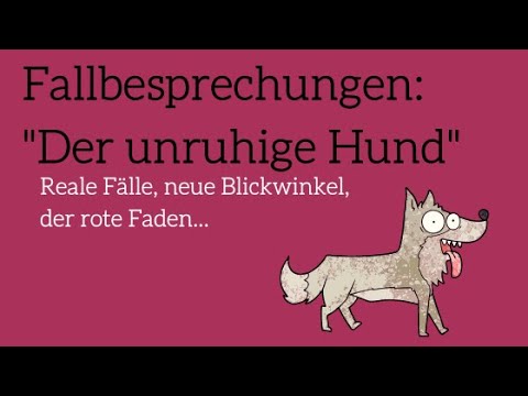 Fallbesprechung: Der unruhige Hund – Webinar zu unruhigen Hunden 3 Videostandbild Fallbesprechung Der unruhige Hund mit Play-Symbol