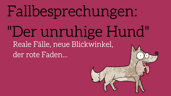Fallbesprechung: Der unruhige Hund – Webinar zu unruhigen Hunden 2 Hero-Banner Fallbesprechung Der unruhige Hund mit Cartoon-Hund auf magenta Hintergrund