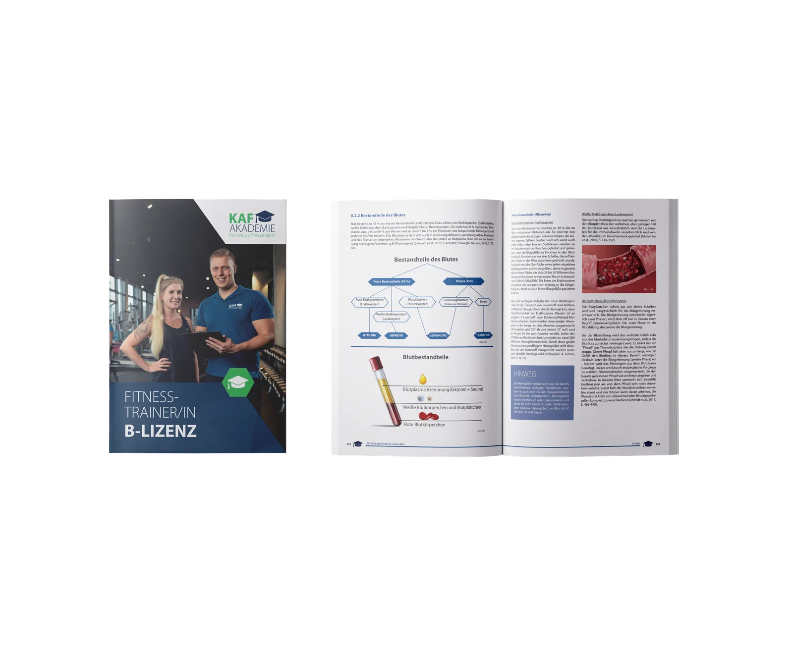 Fitnesstrainer B-Lizenz aufgeschlagenes Buch mit Seiten zu Blutbestandteilen und medizinischen Grafiken