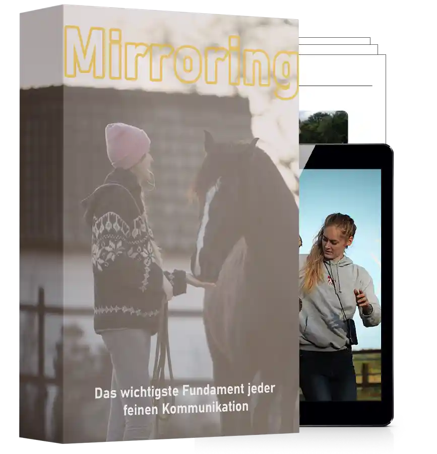 Modul-Cover Mirroring mit Frau und Pferd, Mockup auf Tablets