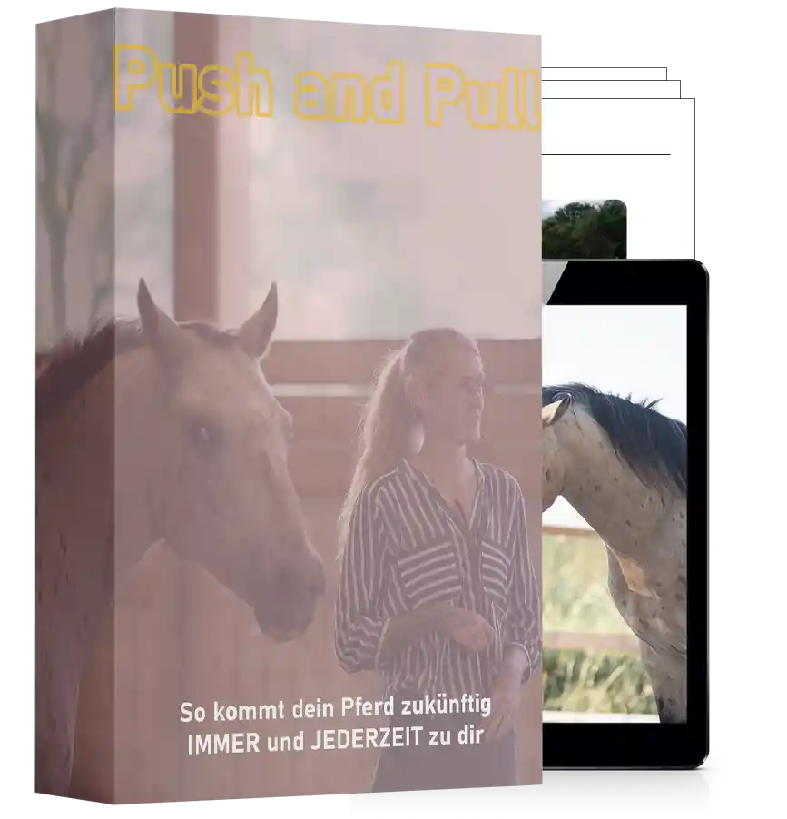 Modul-Cover Push and Pull mit Frau und Pferd, Mockup auf Tablets