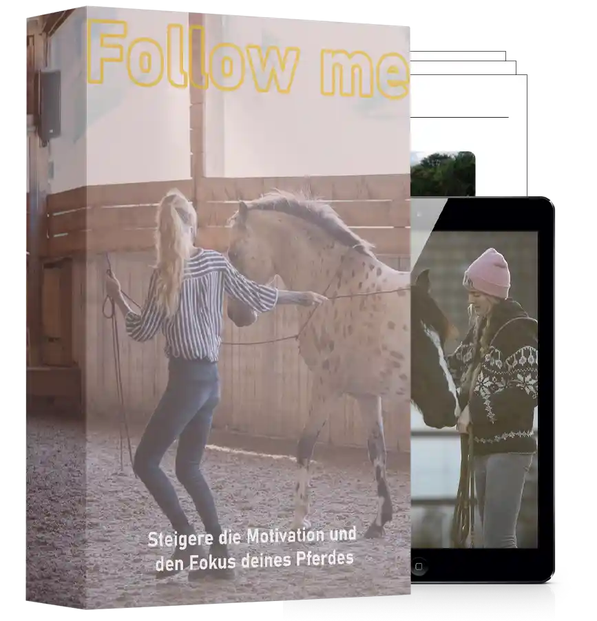 Modul-Cover Follow me mit Frau und springendem Pferd, Mockup auf Tablets