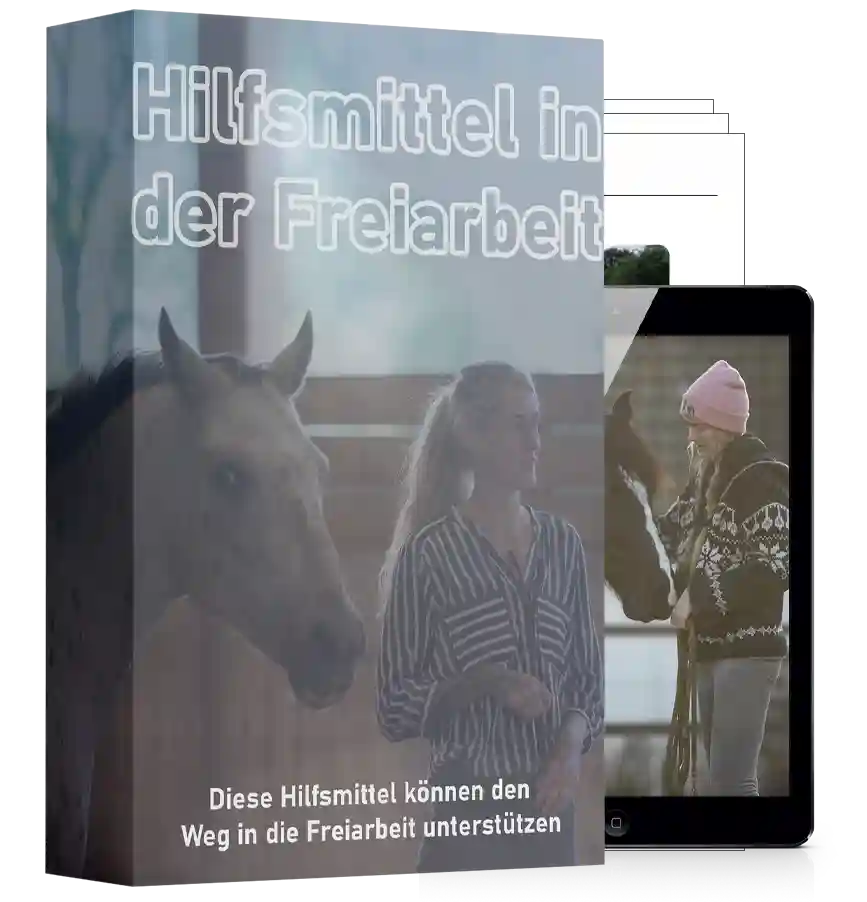 Modul-Cover Hilfsmittel in der Freiarbeit mit Frau und Pferd, Mockup
