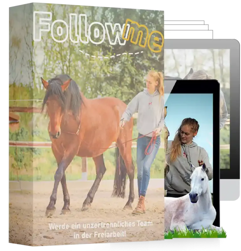 Follow me – Videokurs zur Freiarbeit mit Pferd
