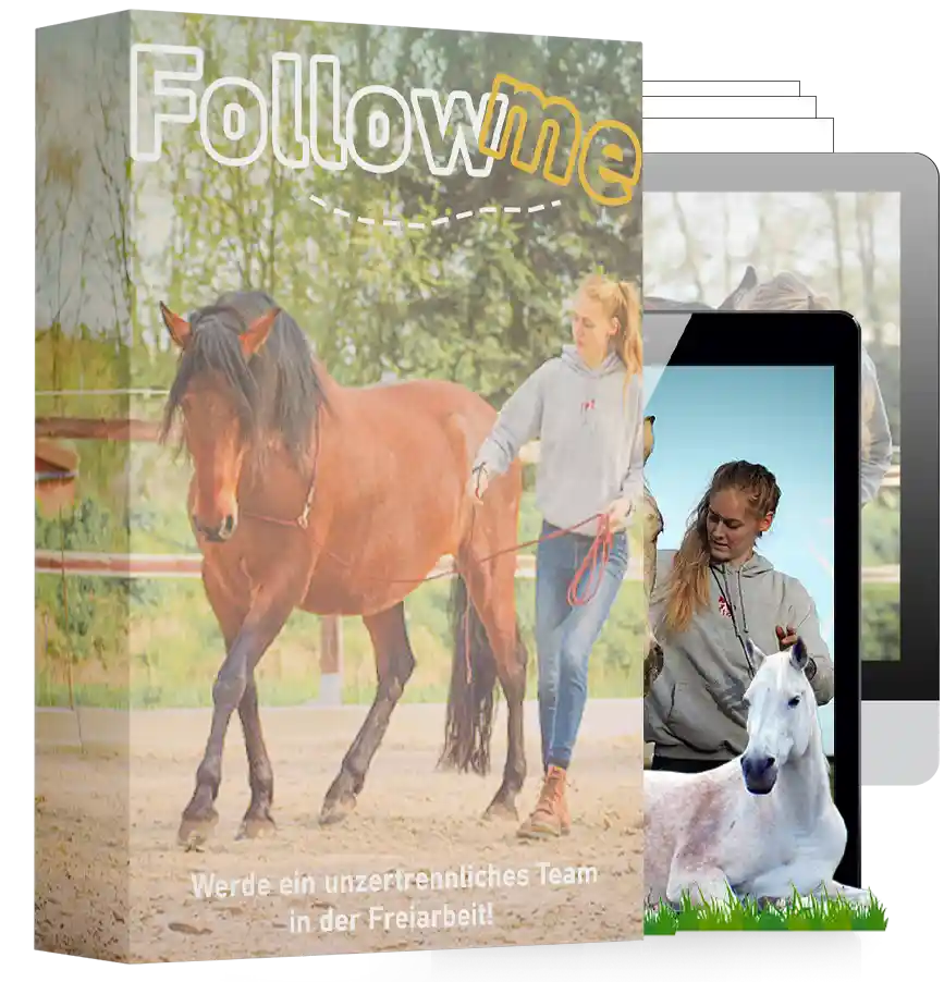 Produktcover Follow me Anleitung mit Frau und Pferd, Mockup auf Tablets