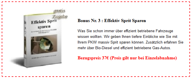 Bonus-Kursinhalt Sprit sparen aus FreieEnergie24