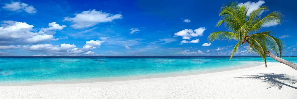 Tropischer Strand mit türkisblauem Wasser, weißem Sand und Palme