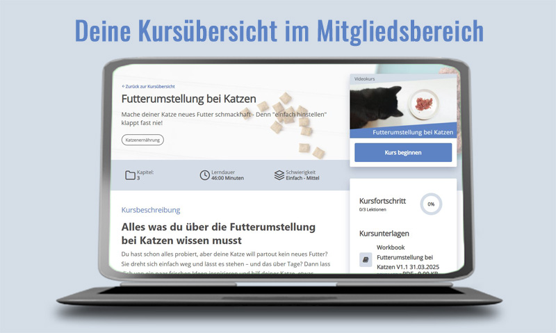 Laptop zeigt Mitgliedsbereich mit Kursübersicht Futterumstellung bei Katzen, Kapitel, Lernndauer 36:00 Minuten, Schwierigkeit