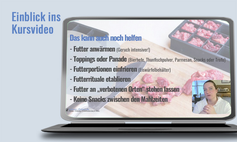 Laptop zeigt Kursvideo mit Überschrift Das kannst du noch helfen, Liste von Fütterungstipps und Instruktor in Webcam-Fenster