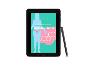 E-Book Mockup Ganzheitliche Sichtweise - Hormonchaos von Christine Erk