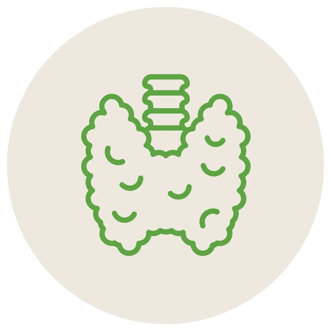 Schilddrüsen-Icon in Grün auf beigem Hintergrund mit stilisierter Anatomie