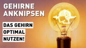 Hero-Banner Gehirne anknipsen mit Glühbirne und Gehirn-Illustration