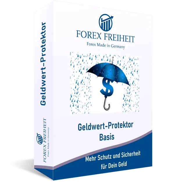 Geldwert-Protektor Basis Produktbox mit Regenschirm und Dollarsymbol im Regen