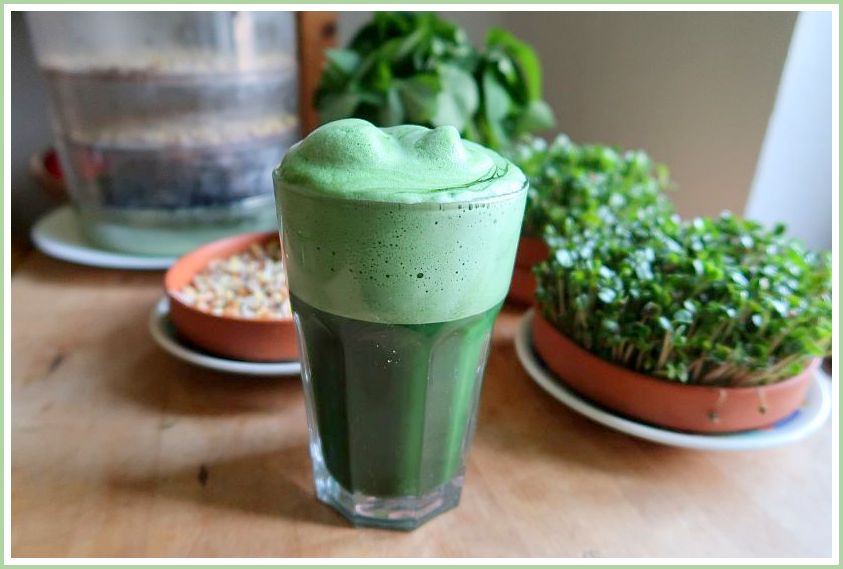 Chlorella-Kokos-Schaum in Glas mit grünem Mikrolgen und Sprossen im Hintergrund