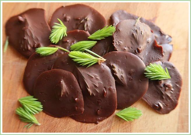Schokolierte Fichtentriebe als Wildgrün-Delicatesse auf Holzoberfläche