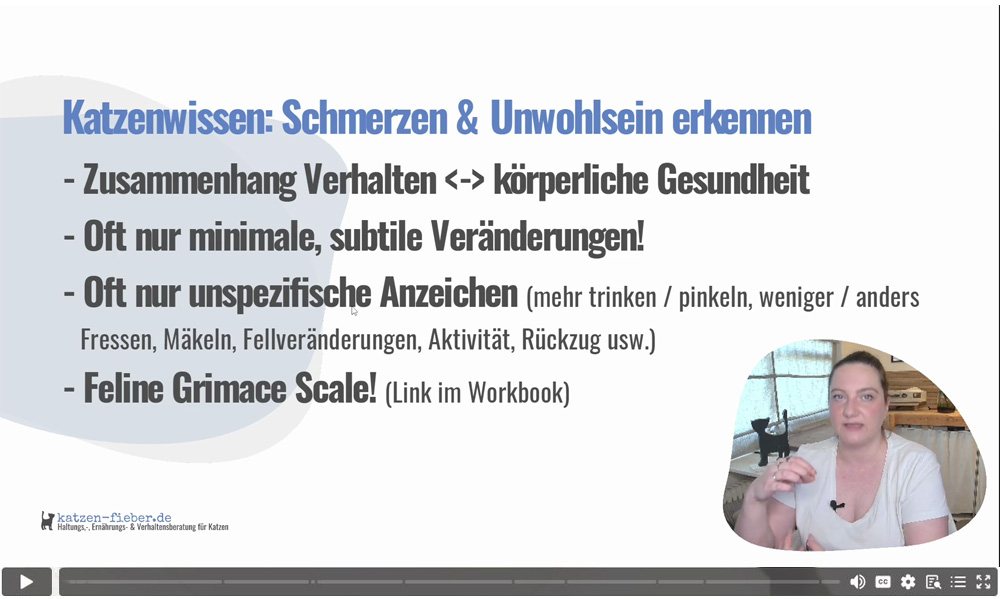Videostandbild: Dozentin erklärt Katzengesundheit mit Aufzählungspunkten über Verhaltensänderungen