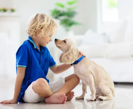Kind in blauem Shirt sitzt und spielt mit kleine Hund