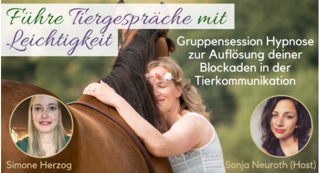 Goodbye-Flugangst Hypnosepaket Bonus und Zusatzinhalte
